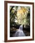 New Hampshire, a Waterfall in the White Mountains-Christopher Talbot Frank-Framed Photographic Print