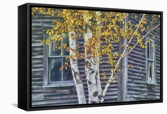 New Hampshire Cabin Detail-Vincent James-Framed Stretched Canvas