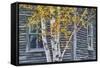 New Hampshire Cabin Detail-Vincent James-Framed Stretched Canvas