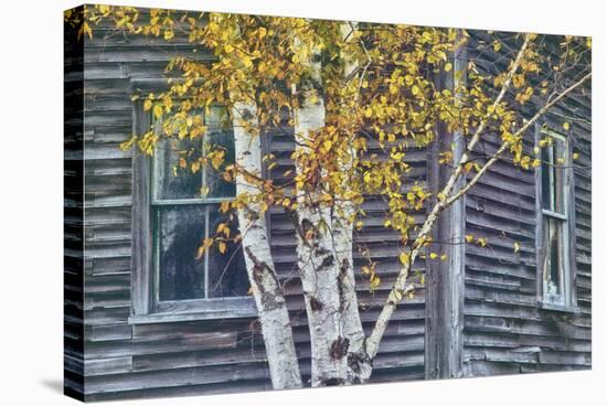 New Hampshire Cabin Detail-Vincent James-Stretched Canvas