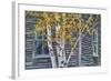 New Hampshire Cabin Detail-Vincent James-Framed Photographic Print