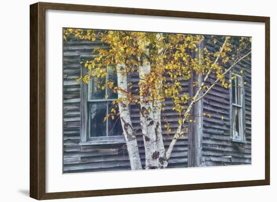 New Hampshire Cabin Detail-Vincent James-Framed Photographic Print