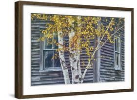 New Hampshire Cabin Detail-Vincent James-Framed Photographic Print