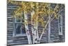 New Hampshire Cabin Detail-Vincent James-Mounted Photographic Print