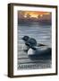 New Hampshire - Common Loon-Lantern Press-Framed Art Print