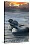 New Hampshire - Common Loon-Lantern Press-Stretched Canvas