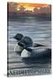 New Hampshire - Common Loon-Lantern Press-Stretched Canvas