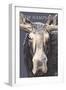New Hampshire - Moose Up Close-Lantern Press-Framed Art Print