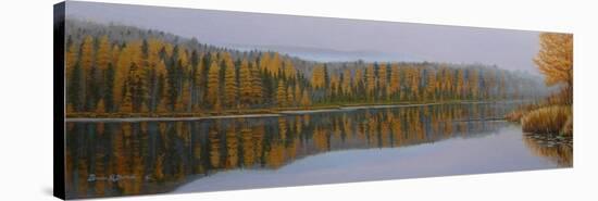 New Hampshire Reflection-Bruce Dumas-Stretched Canvas