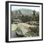 New Hampshire (United States), the White Mountains, Mount Kearsage-Leon, Levy et Fils-Framed Photographic Print