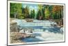 New Hampshire - View of the Wild Cat River and Jackson Falls-Lantern Press-Mounted Art Print
