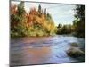 New Hampshire, White Mountains NF, Autumn Colors of Sugar Maple Trees-Christopher Talbot Frank-Mounted Photographic Print