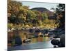 New Hampshire, White Mountains NF, Autumn Colors of Sugar Maple Trees-Christopher Talbot Frank-Mounted Photographic Print