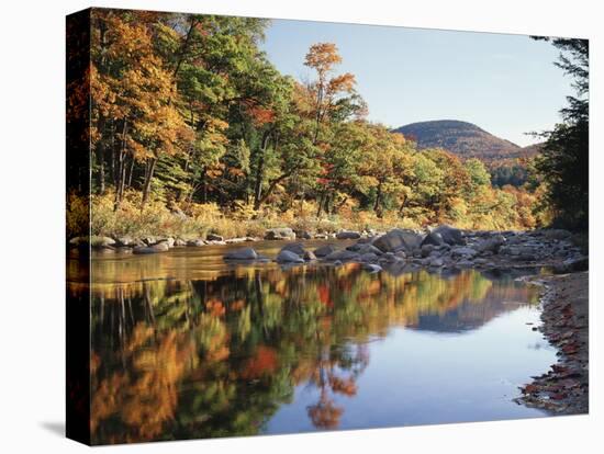 New Hampshire, White Mts Nf, Sugar Maple Reflect in the Swift River-Christopher Talbot Frank-Stretched Canvas