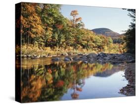 New Hampshire, White Mts Nf, Sugar Maple Reflect in the Swift River-Christopher Talbot Frank-Stretched Canvas