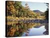 New Hampshire, White Mts Nf, Sugar Maple Reflect in the Swift River-Christopher Talbot Frank-Stretched Canvas