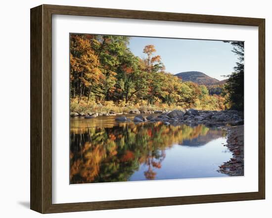 New Hampshire, White Mts Nf, Sugar Maple Reflect in the Swift River-Christopher Talbot Frank-Framed Premium Photographic Print