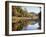 New Hampshire, White Mts Nf, Sugar Maple Reflect in the Swift River-Christopher Talbot Frank-Framed Premium Photographic Print