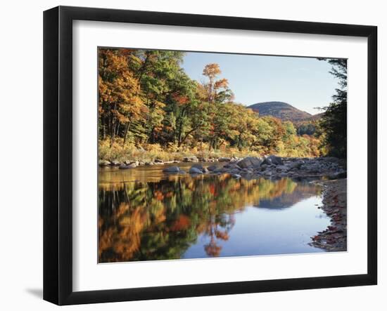 New Hampshire, White Mts Nf, Sugar Maple Reflect in the Swift River-Christopher Talbot Frank-Framed Premium Photographic Print