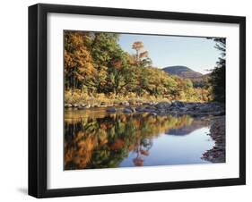 New Hampshire, White Mts Nf, Sugar Maple Reflect in the Swift River-Christopher Talbot Frank-Framed Premium Photographic Print