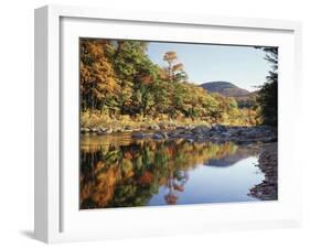 New Hampshire, White Mts Nf, Sugar Maple Reflect in the Swift River-Christopher Talbot Frank-Framed Premium Photographic Print