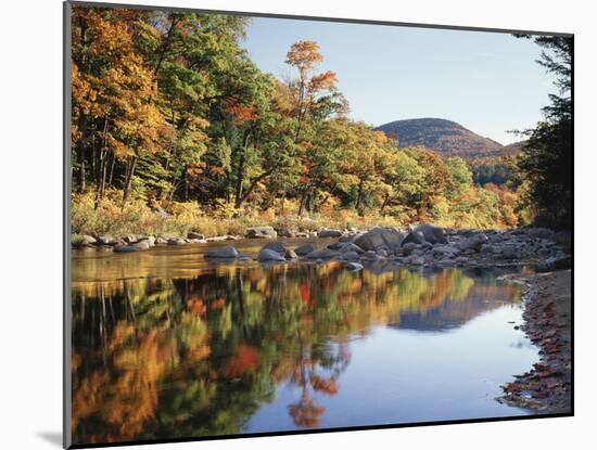 New Hampshire, White Mts Nf, Sugar Maple Reflect in the Swift River-Christopher Talbot Frank-Mounted Premium Photographic Print