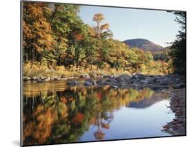New Hampshire, White Mts Nf, Sugar Maple Reflect in the Swift River-Christopher Talbot Frank-Mounted Premium Photographic Print