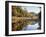 New Hampshire, White Mts Nf, Sugar Maple Reflect in the Swift River-Christopher Talbot Frank-Framed Photographic Print