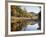 New Hampshire, White Mts Nf, Sugar Maple Reflect in the Swift River-Christopher Talbot Frank-Framed Photographic Print