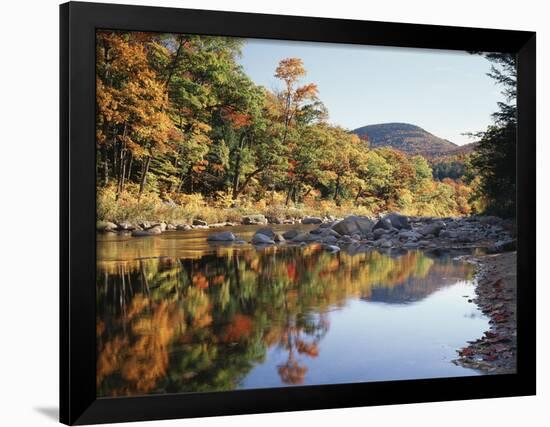 New Hampshire, White Mts Nf, Sugar Maple Reflect in the Swift River-Christopher Talbot Frank-Framed Photographic Print