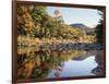 New Hampshire, White Mts Nf, Sugar Maple Reflect in the Swift River-Christopher Talbot Frank-Framed Photographic Print