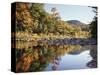 New Hampshire, White Mts Nf, Sugar Maple Reflect in the Swift River-Christopher Talbot Frank-Stretched Canvas