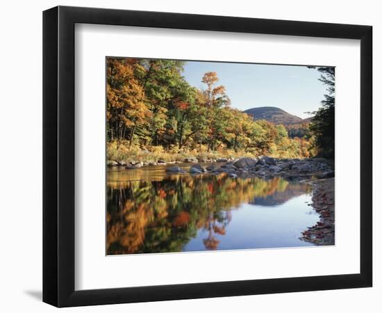 New Hampshire, White Mts Nf, Sugar Maple Reflect in the Swift River-Christopher Talbot Frank-Framed Photographic Print