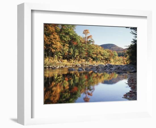 New Hampshire, White Mts Nf, Sugar Maple Reflect in the Swift River-Christopher Talbot Frank-Framed Photographic Print