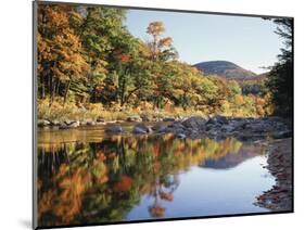 New Hampshire, White Mts Nf, Sugar Maple Reflect in the Swift River-Christopher Talbot Frank-Mounted Photographic Print