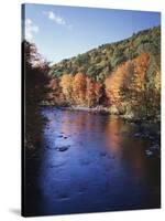 New Hampshire, White Mts Nf, Sugar Maples and Wild Ammonoosuc River-Christopher Talbot Frank-Stretched Canvas