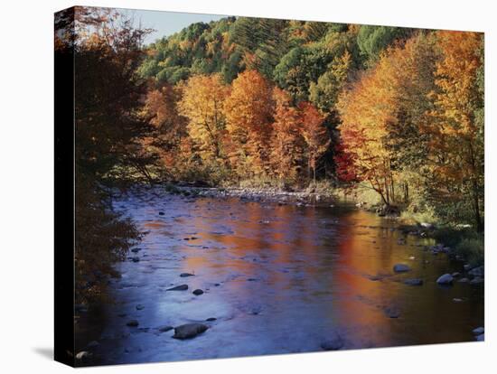 New Hampshire, White Mts Nf, Sugar Maples and Wild Ammonoosuc River-Christopher Talbot Frank-Stretched Canvas