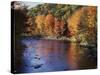 New Hampshire, White Mts Nf, Sugar Maples and Wild Ammonoosuc River-Christopher Talbot Frank-Stretched Canvas