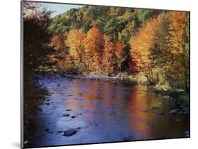 New Hampshire, White Mts Nf, Sugar Maples and Wild Ammonoosuc River-Christopher Talbot Frank-Mounted Premium Photographic Print