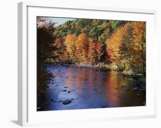 New Hampshire, White Mts Nf, Sugar Maples and Wild Ammonoosuc River-Christopher Talbot Frank-Framed Photographic Print