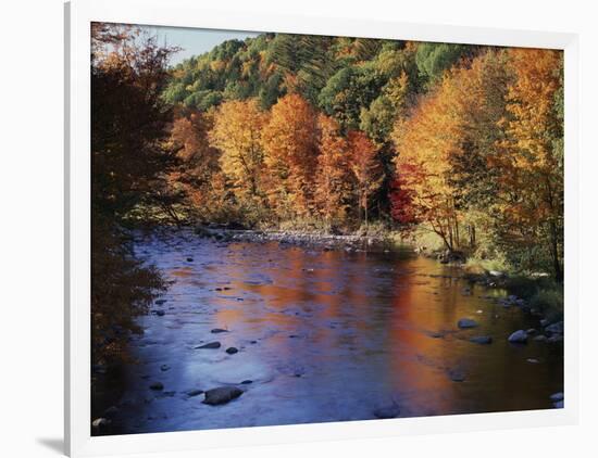 New Hampshire, White Mts Nf, Sugar Maples and Wild Ammonoosuc River-Christopher Talbot Frank-Framed Photographic Print