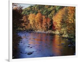 New Hampshire, White Mts Nf, Sugar Maples and Wild Ammonoosuc River-Christopher Talbot Frank-Framed Photographic Print