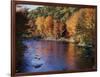 New Hampshire, White Mts Nf, Sugar Maples and Wild Ammonoosuc River-Christopher Talbot Frank-Framed Photographic Print