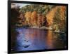 New Hampshire, White Mts Nf, Sugar Maples and Wild Ammonoosuc River-Christopher Talbot Frank-Framed Photographic Print