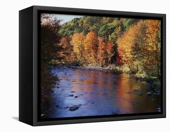 New Hampshire, White Mts Nf, Sugar Maples and Wild Ammonoosuc River-Christopher Talbot Frank-Framed Stretched Canvas