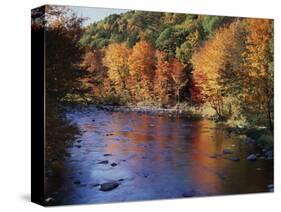 New Hampshire, White Mts Nf, Sugar Maples and Wild Ammonoosuc River-Christopher Talbot Frank-Stretched Canvas