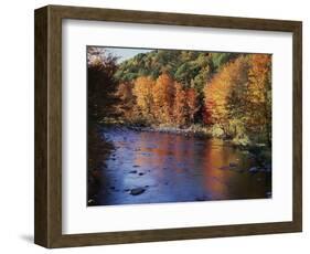 New Hampshire, White Mts Nf, Sugar Maples and Wild Ammonoosuc River-Christopher Talbot Frank-Framed Photographic Print