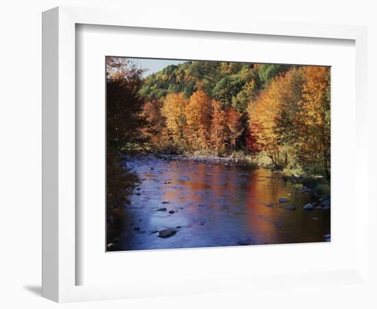 New Hampshire, White Mts Nf, Sugar Maples and Wild Ammonoosuc River-Christopher Talbot Frank-Framed Photographic Print