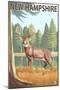 New Hampshire - White-Tailed Deer-Lantern Press-Mounted Art Print