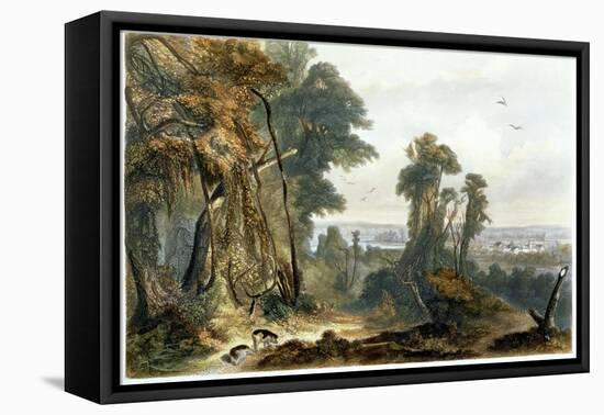 New Harmony on the Wabash, Plate 2 from Volume 2 of "Travels in the Interior of North America"-Karl Bodmer-Framed Stretched Canvas